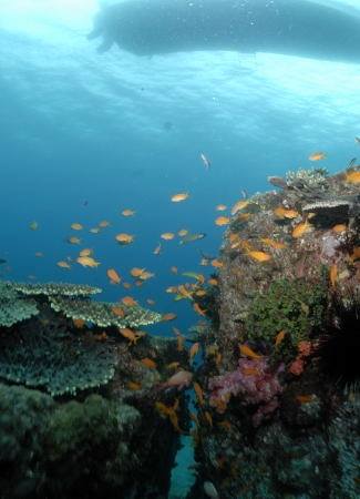 �����@�r���E��